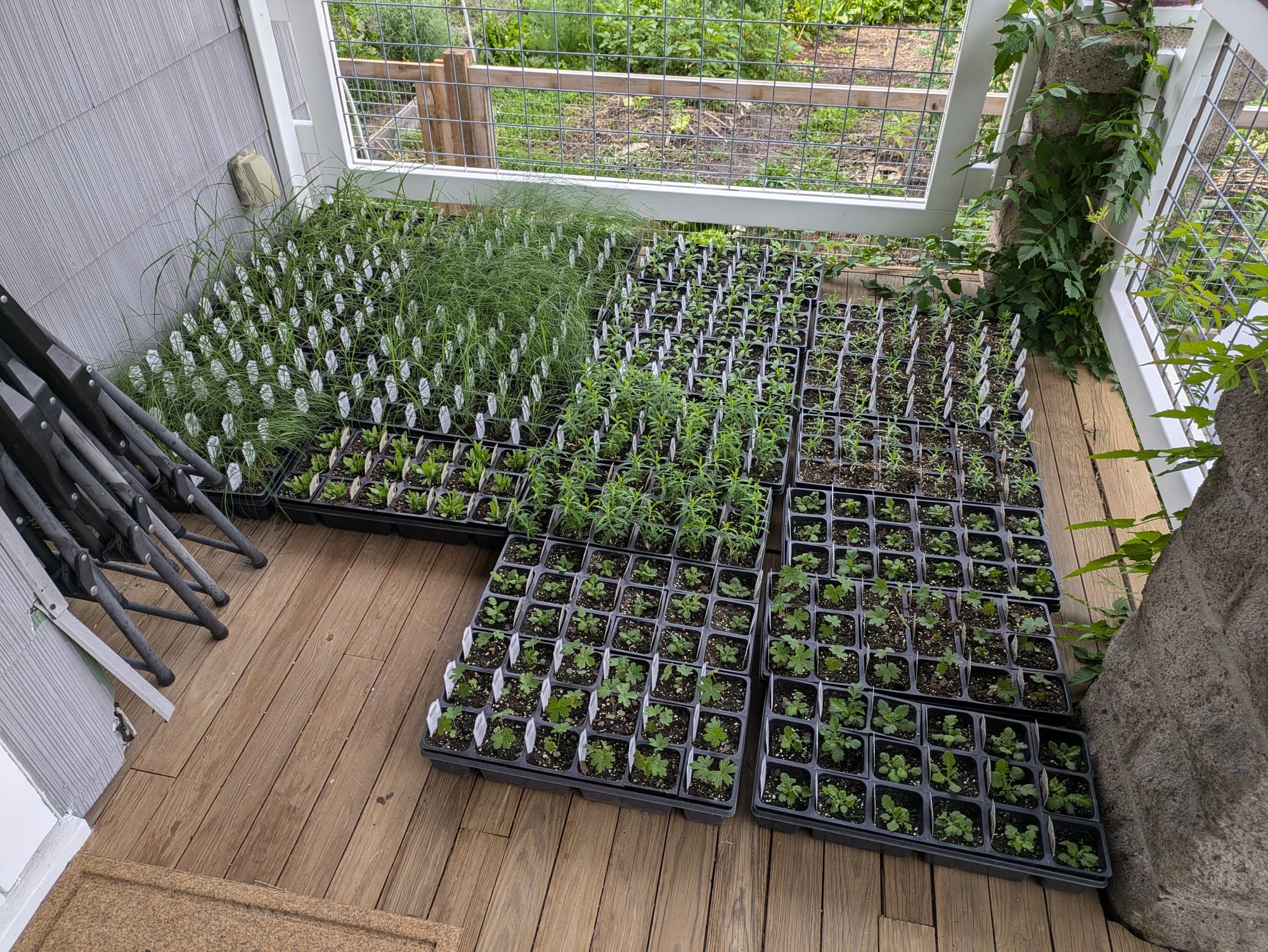 🌾 Ian Young wants to help you help your neighbor plant their boulevard