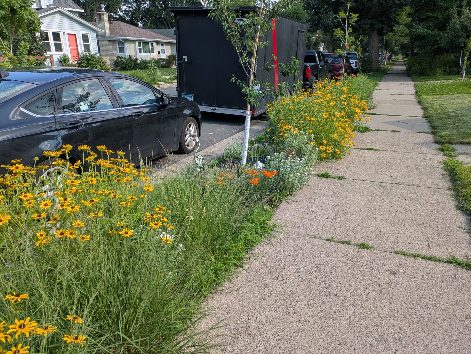 🌾 Ian Young wants to help you help your neighbor plant their boulevard