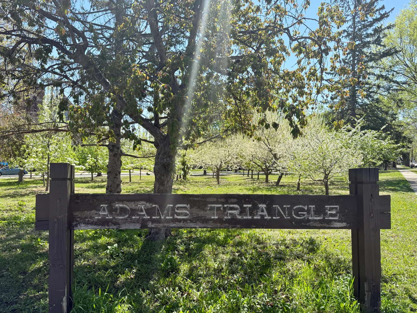🍑 It's almost harvest season at the Adams Triangle orchard